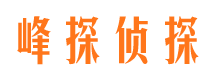 元阳市婚外情调查